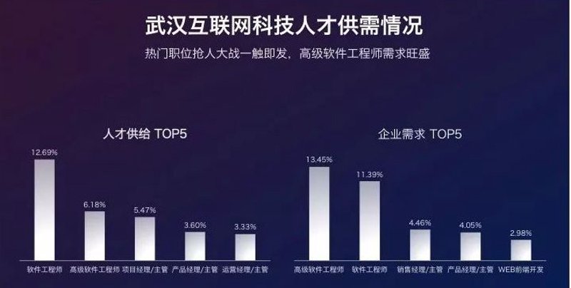 武汉软件开发，行业内的新星还是昙花一现？